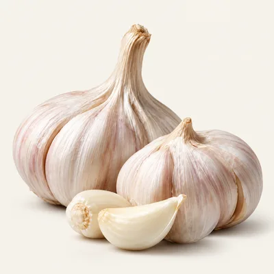 Garlic